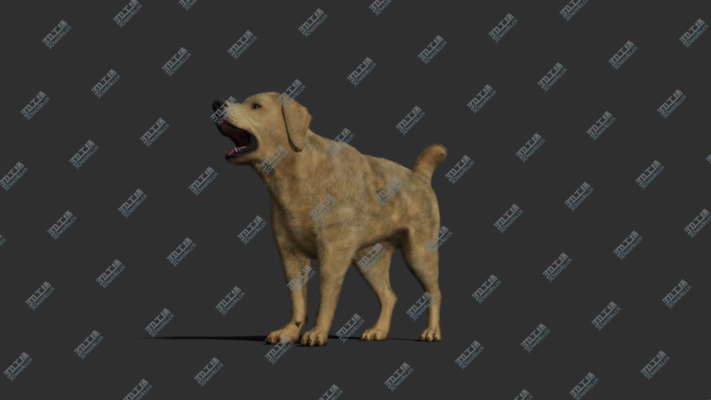 images/goods_img/202105074/3D Dog rigged and animated model/1.jpg